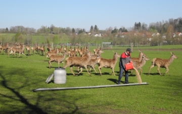 Bundesfachtagung 2015